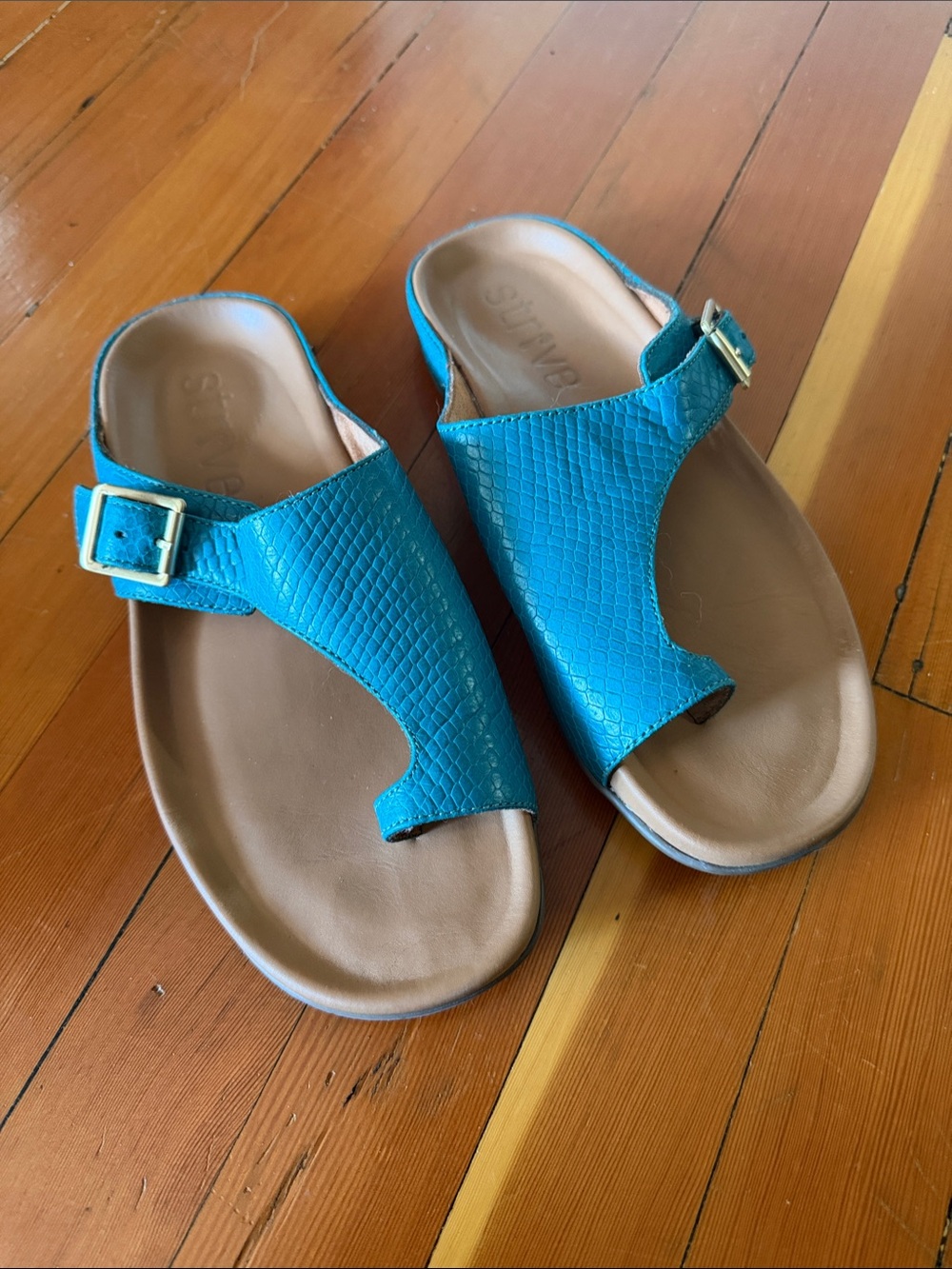 Teal Slide Sandals with Buckle